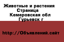  Животные и растения - Страница 4 . Кемеровская обл.,Гурьевск г.